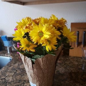 Meet your Posher, Lima